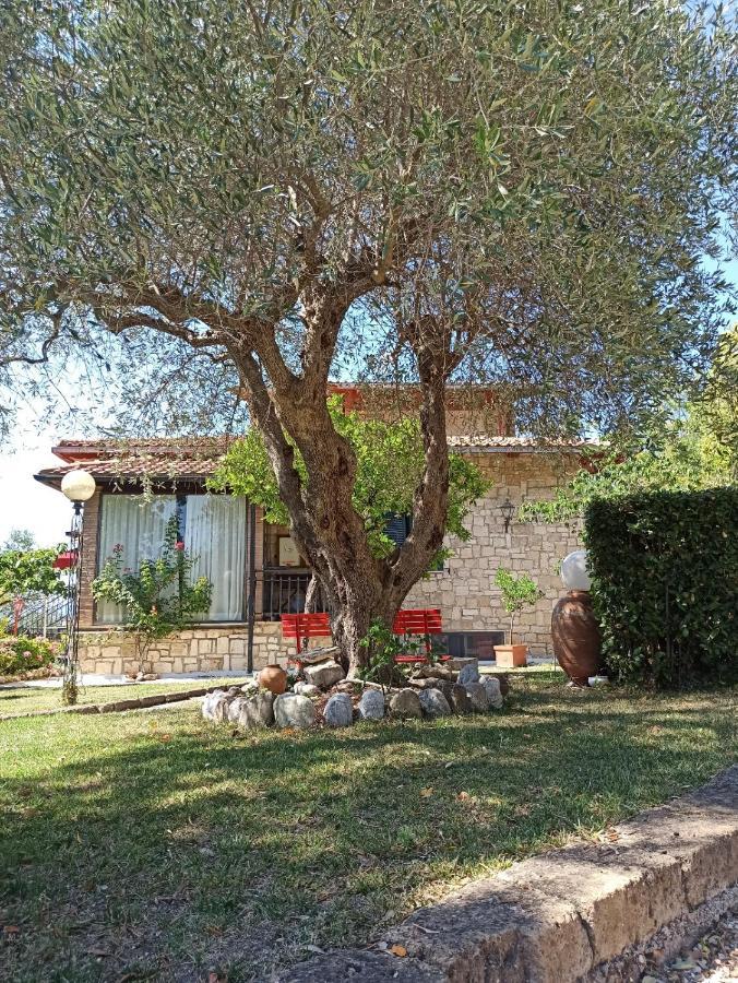 B&B Villa Garden Saturnia Luaran gambar